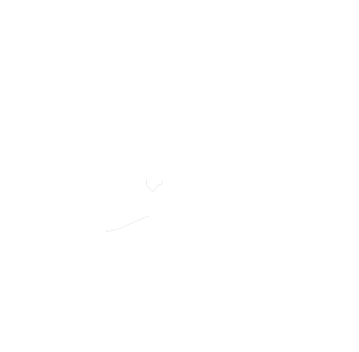 YCP