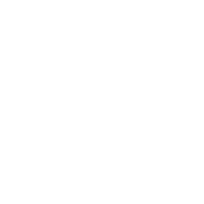 The Captain